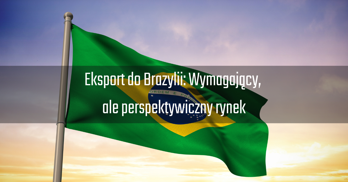 Eksport do Brazylii - o czym pamiętać